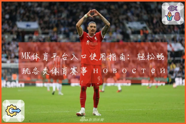 MK体育平台入口使用指南：轻松畅玩各类体育赛事 новостей